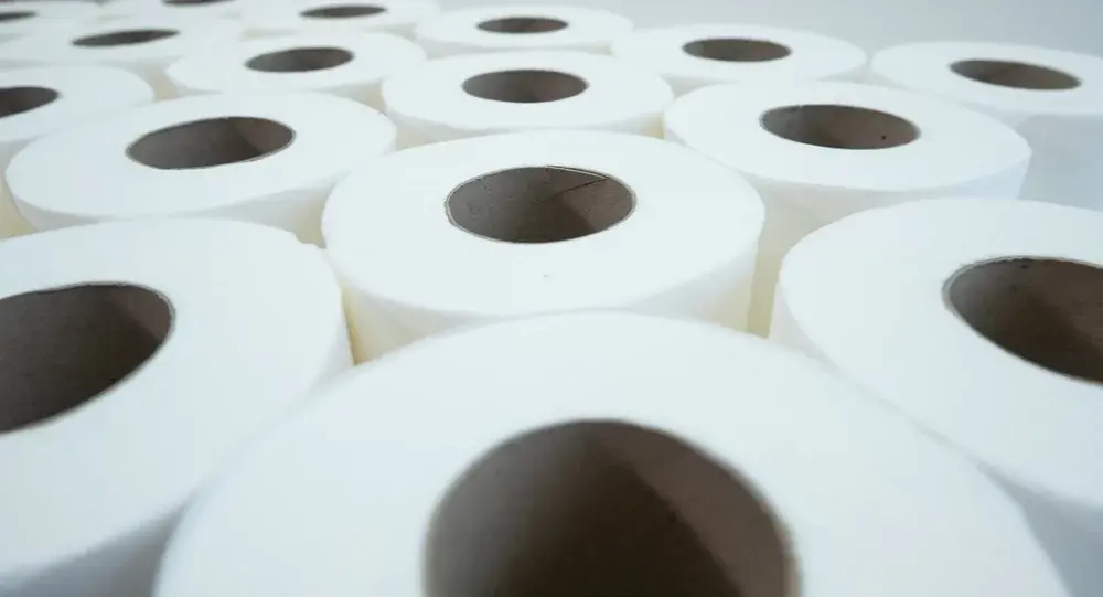 toilet rolls