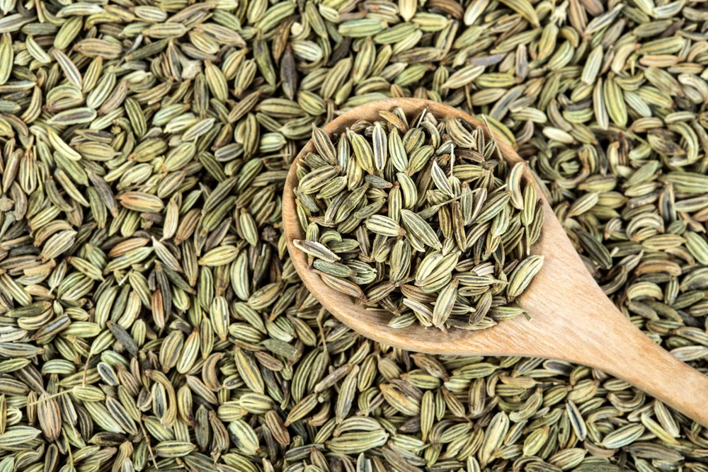 fennel seed